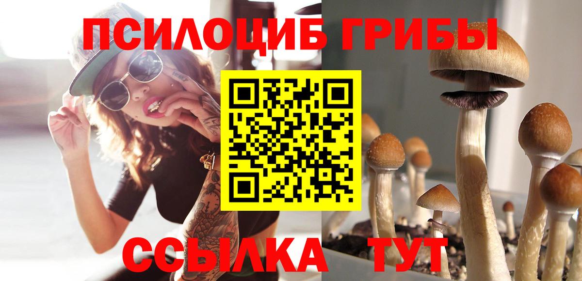 Alpha-PVP СОЛЬ   Асбест  Каннабис  Кокаин  Вход с VPN  Меф   ГАШ 