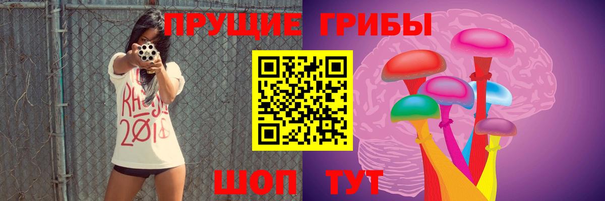 Асбест  Псилоцибиновые грибы Cubensis  Вход с VPN 